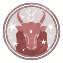 2026年上半期の運勢　牡牛座