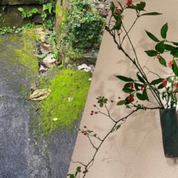 緑鮮やかなコケ、シダ