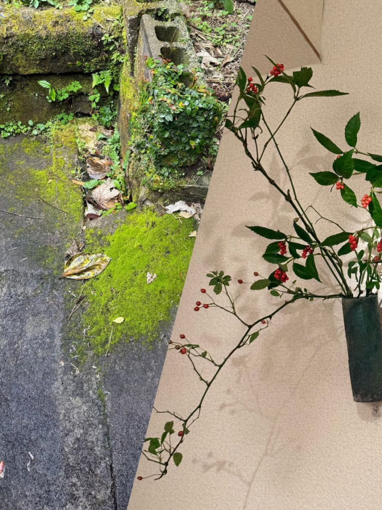 緑鮮やかなコケ、シダ