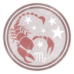 2026年上半期の運勢　蠍座