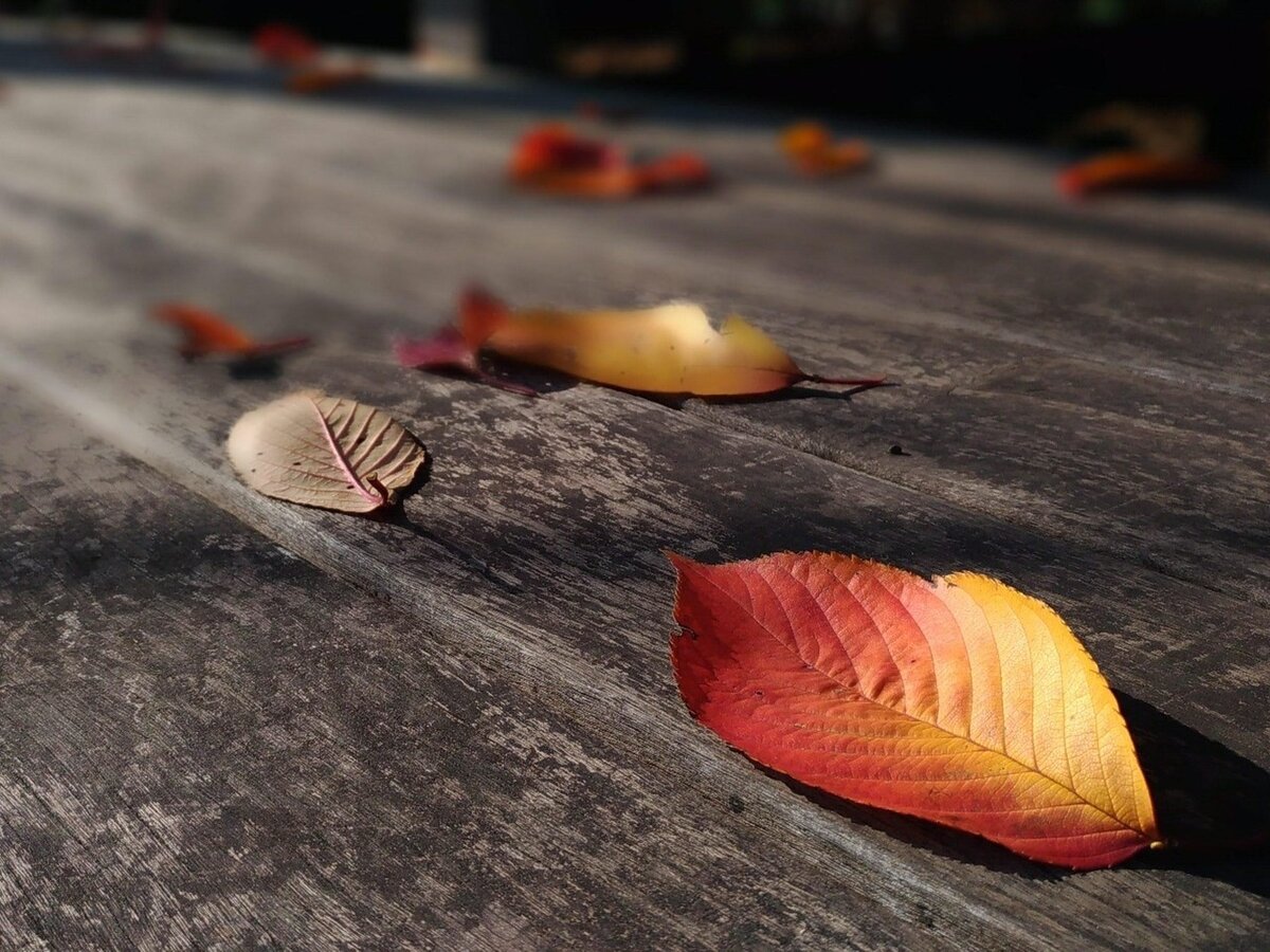 冬に睡眠の質が落ちるのはなぜ？