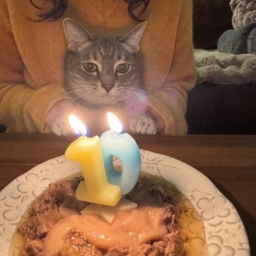 愛猫のお誕生日会