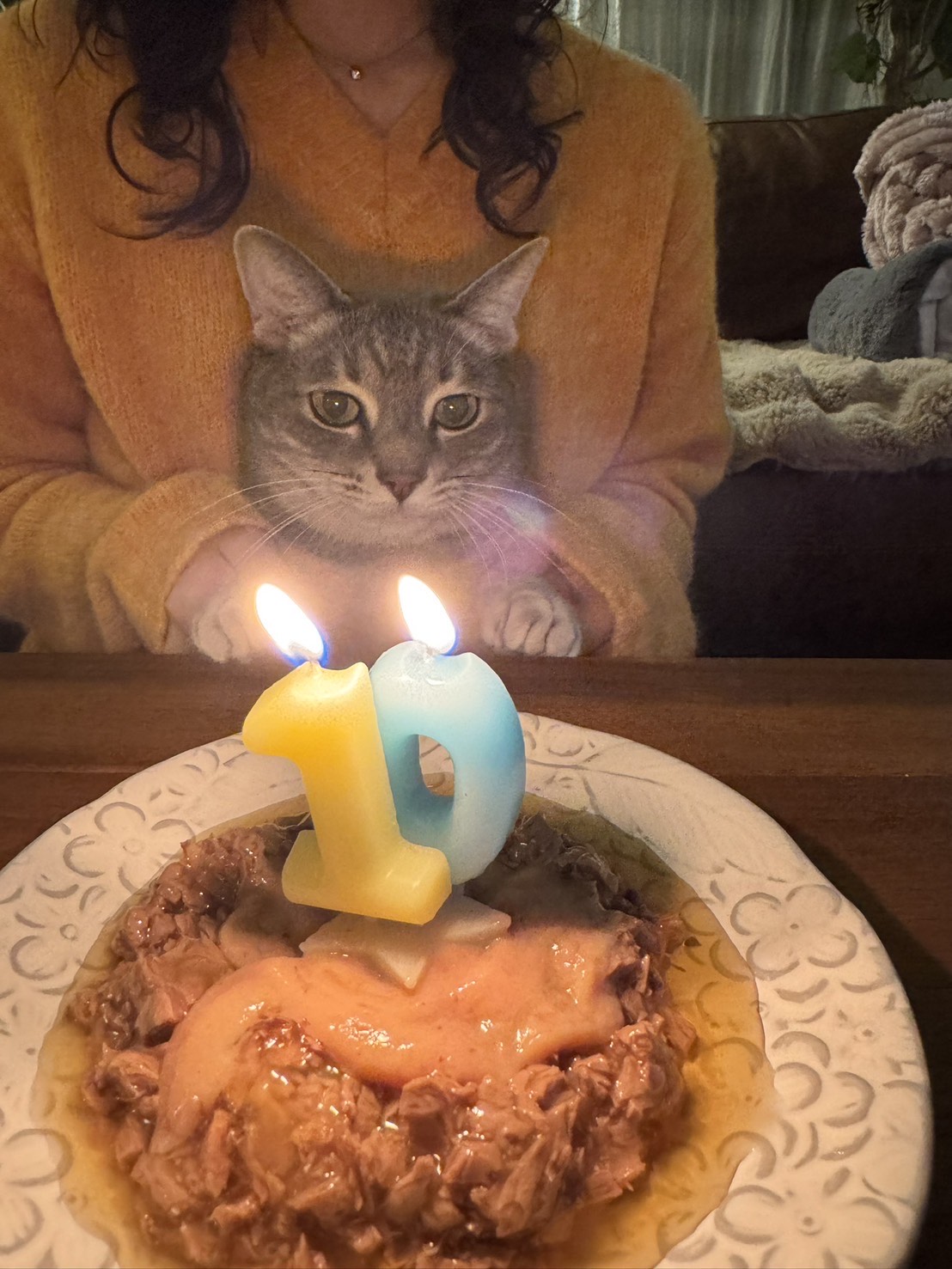 愛猫のお誕生日会
