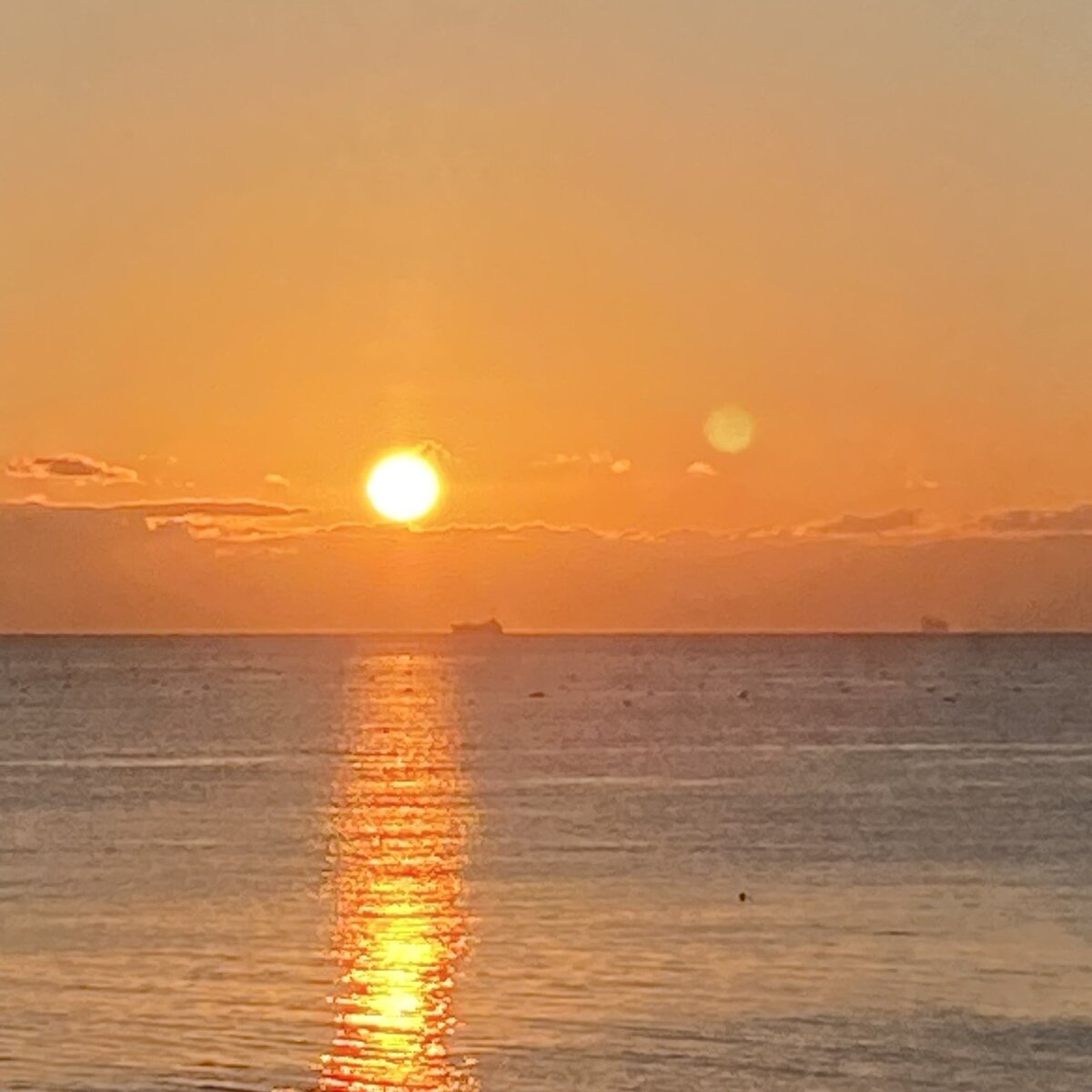 26年１月中道さんブログ＿初日の出