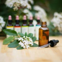 今日からできる！疲れを取るセルフケア5選