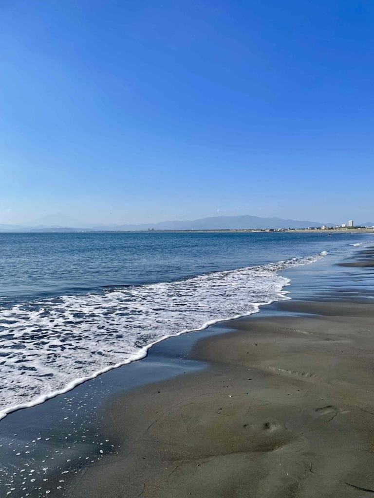 鈴木恵さん1月ブログ①