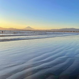 鈴木恵さん1月ブログ⑪