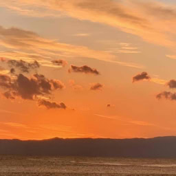 鈴木恵さん1月ブログ⑫