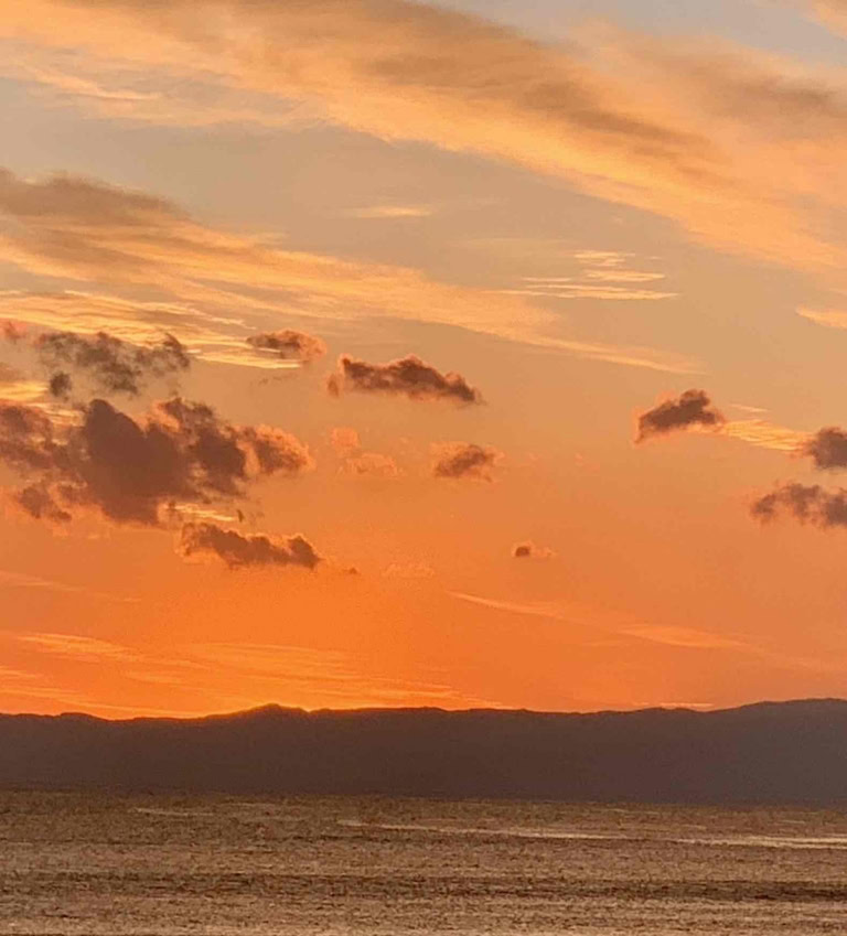 鈴木恵さん1月ブログ⑫