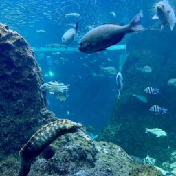 鈴木恵さん1月ブログ⑦