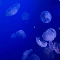 鈴木恵さん1月ブログ⑧