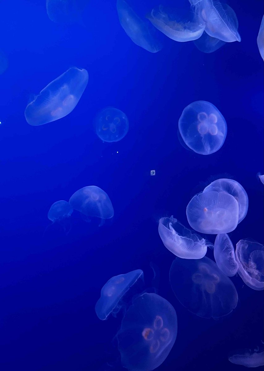 鈴木恵さん1月ブログ⑧