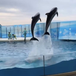 鈴木恵さん1月ブログ⑨