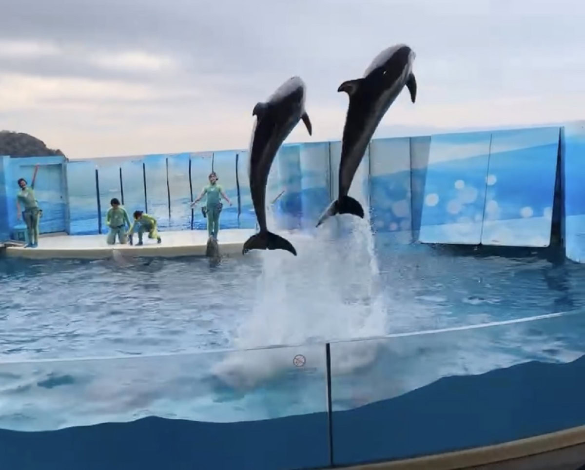 鈴木恵さん1月ブログ⑨