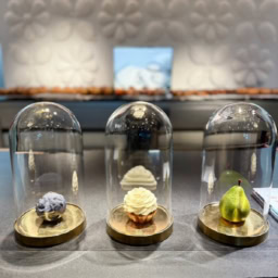 豊田さん1月ブログ⑧