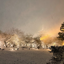 エントランス全景。雪のベールで白っく煙っている景色が幻想的。