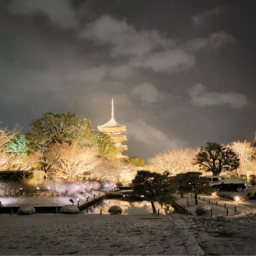 雪が降りやんだばかりの東寺境内