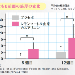 太もも前面の筋厚の変化のグラフ