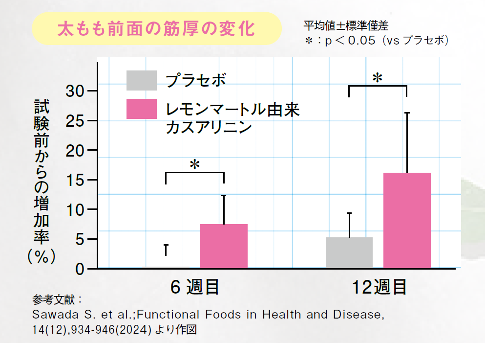 太もも前面の筋厚の変化のグラフ