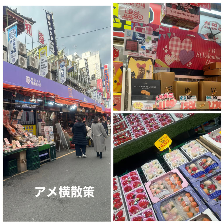 26年2月kotokoさんブログ_アメ横散策