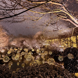 池に映る竹あかりと、奥に黄金色に輝くのは、光の回廊。