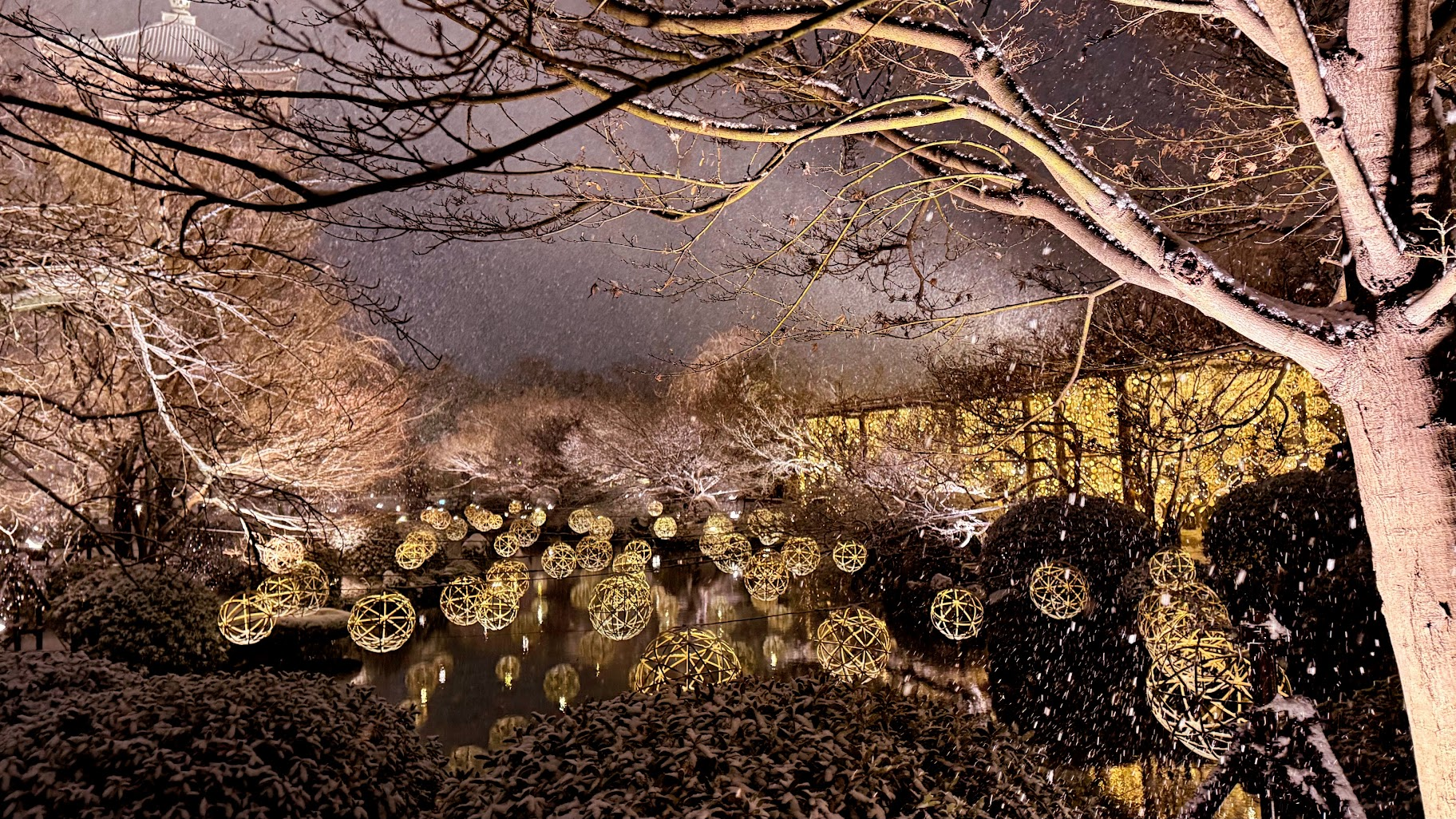 池に映る竹あかりと、奥に黄金色に輝くのは、光の回廊。