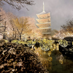 竹あかりは数万個あります