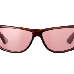 サングラス／ラップ ￥2,990