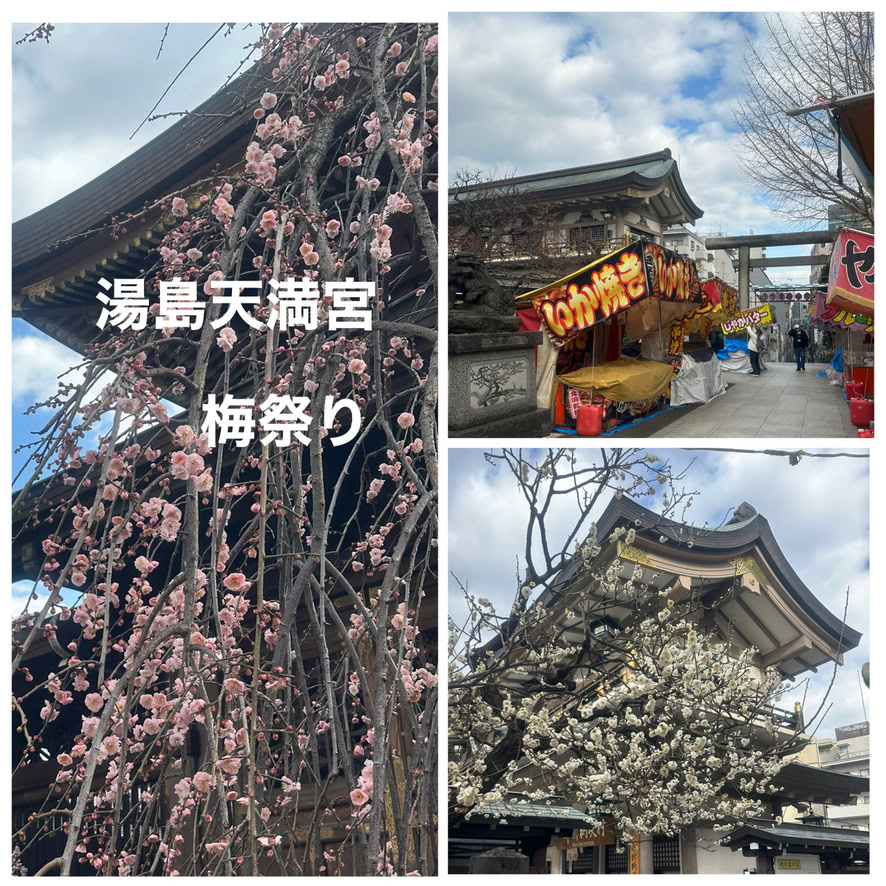 26年２月kotokoさんブログ_料理教室後に散策