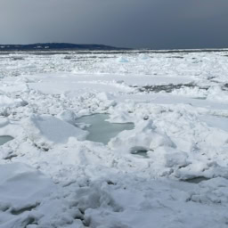 北海道　流氷　網走