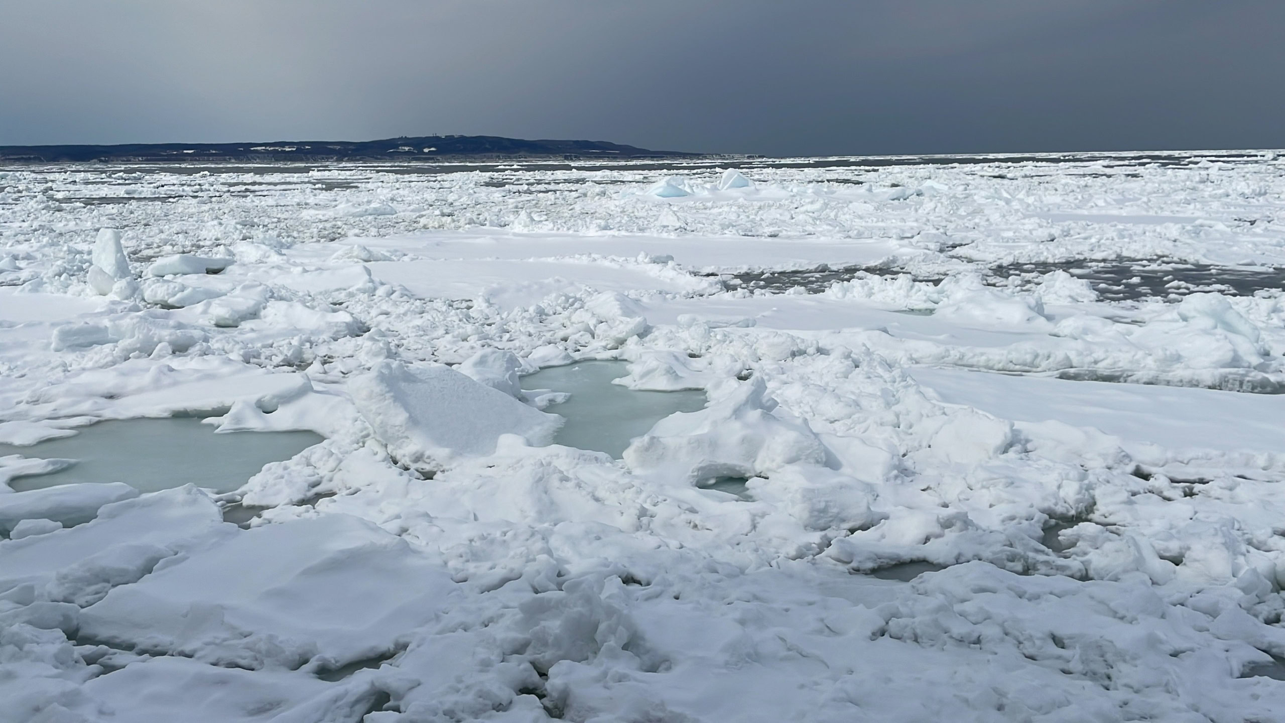 北海道　流氷　網走