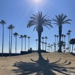 中道さん26年２月ブログ_逗子・鎌倉観光スポット