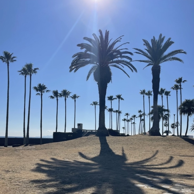 中道さん26年2月ブログ_逗子・鎌倉観光スポット