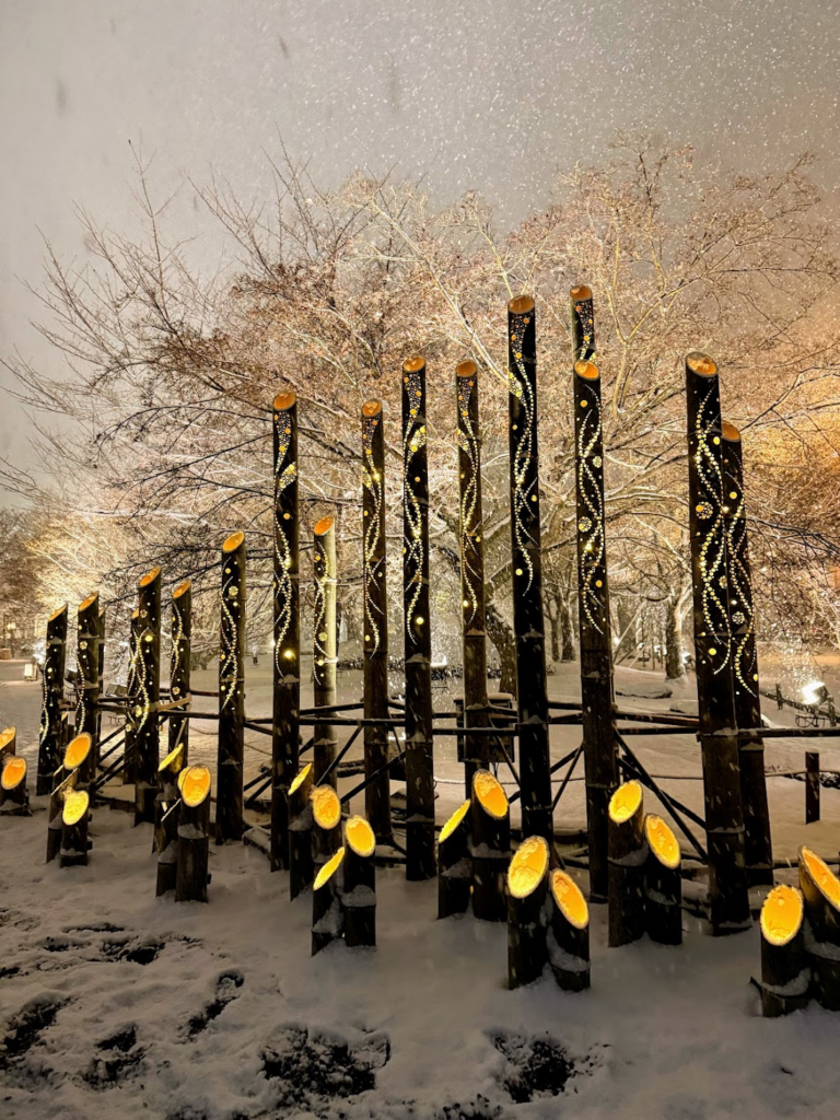 竹あかりは数万個あります