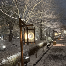 雪の境内に出会えることは滅多にないので、寒さを忘れました。