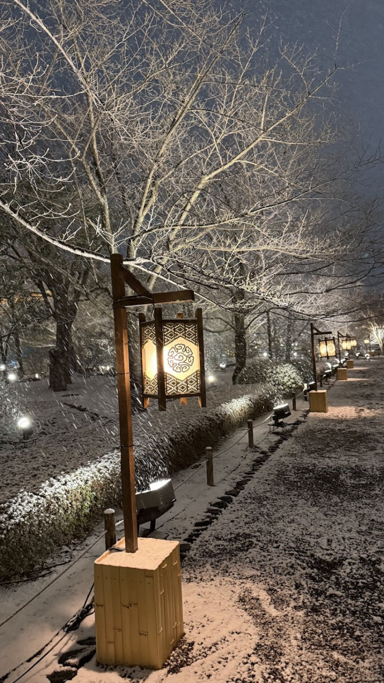 雪の境内に出会えることは滅多にないので、寒さを忘れました。