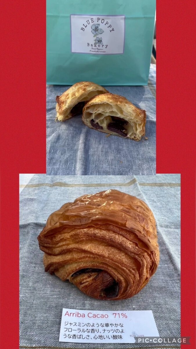 アリバカカオのパンオショコラ