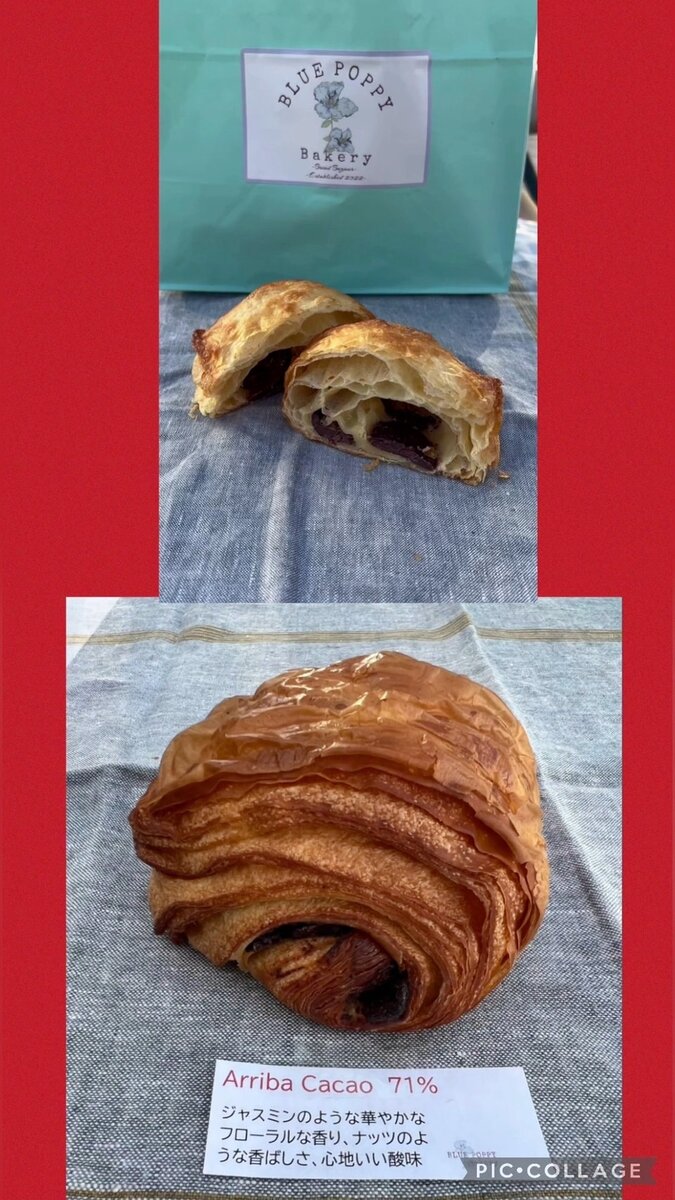アリバカカオのパンオショコラ