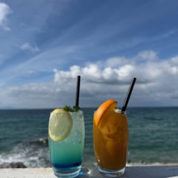 中川さん淡路島②