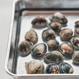 砂抜きが必要な場合は、あさりが少し出るくらいの塩水（塩分濃度約3％）に浸して新聞紙などをのせ、常温に1〜2時間おいて