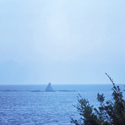 心洗われる風景の写真も