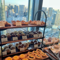 鈴木恵さん2月ブログ⑫