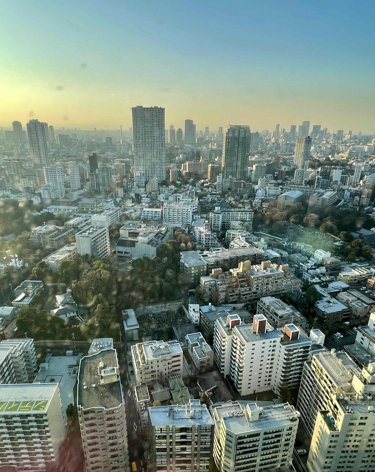 鈴木恵さん2月ブログ⑮