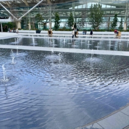 鈴木恵さん2月ブログ②