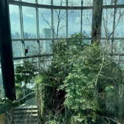 鈴木恵さん2月ブログ⑤