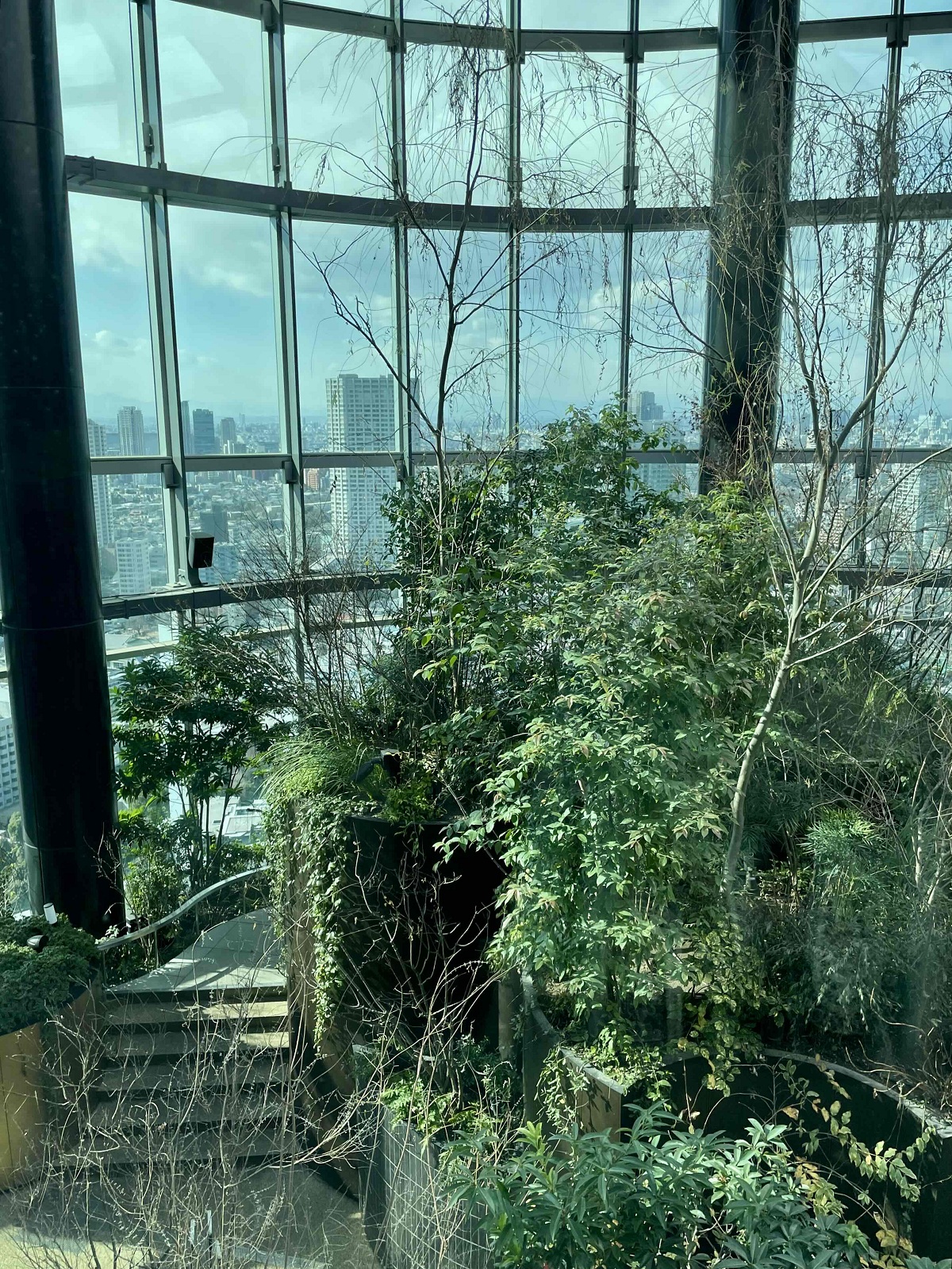 鈴木恵さん2月ブログ⑤