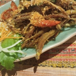 インド先生2月ブログ⑪