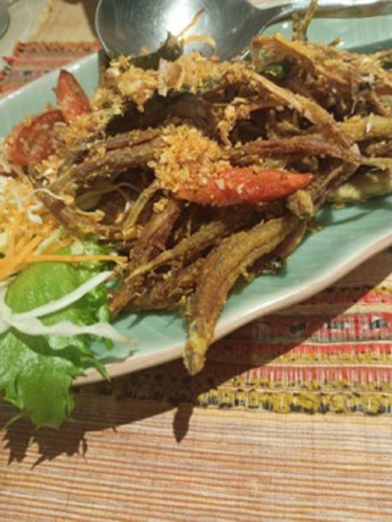 インド先生2月ブログ⑪