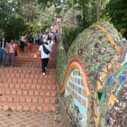 インド先生2月ブログ③