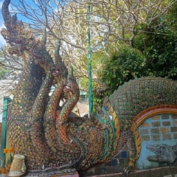 インド先生2月ブログ④